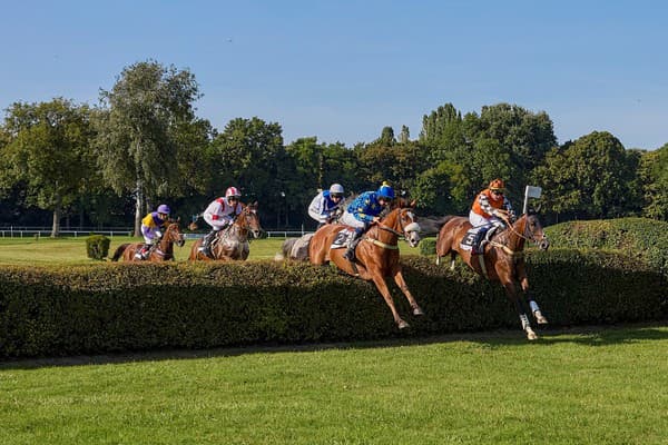 Veľká starohájska steeplechase sú najvýznamnejšie prekážkové dostihy sezóny na Slovensku.