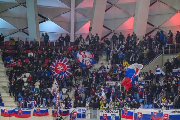 Fanúšikovia našich chlapcov radi vycestujú aj na zápasy ďaleko za hranice Slovenska.