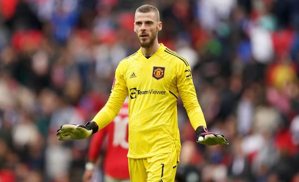 David de Gea bol dlhé roky brankárskou oporou Manchestru United.