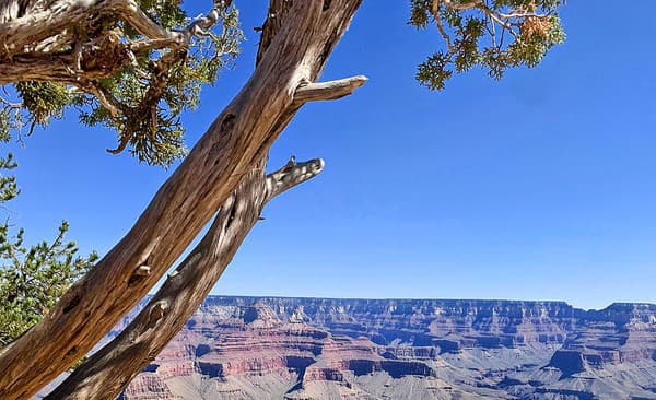 Patrik Koch si s manželkou a dvojičkami užil aj slávny Grand Canyon.