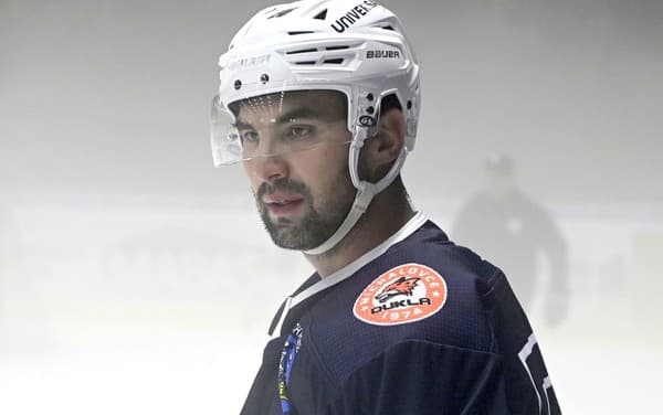 Slovenský hokejista Vladimír Mihálik sa rozhodol rozviazať kontrakt s tímom HK Dukla Ingema Michalovce. 
