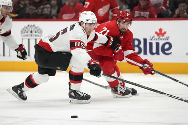 Dylan Larkin je najväčšou osobnosťou Detroitu Red Wings.