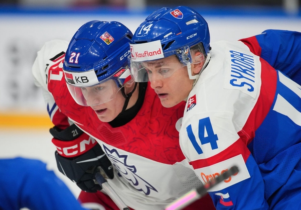 V prvom zápase podľahli českí hokejisti Slovensku výsledkom 6:2.