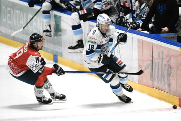 Slovan Bratislava privítal Nitru v špeciálnych vianočných dresoch.