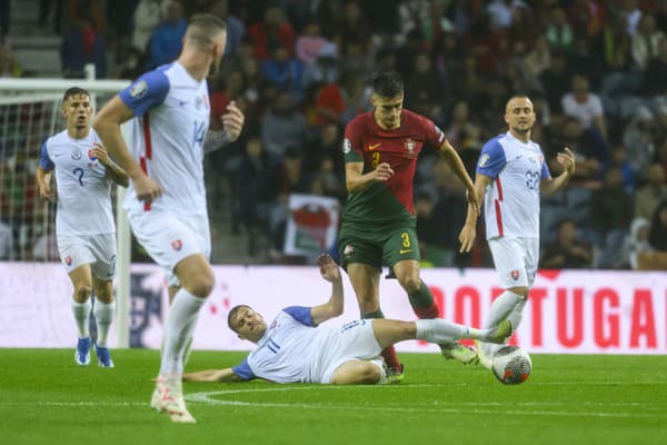 Slovenská futbalová reprezentácia.