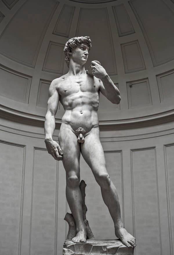 ​​​​​​​Dávid je renesančné sochárske dielo legendárneho talianskeho umelca Michelangela Buonarrotiho zo 16. storočia.