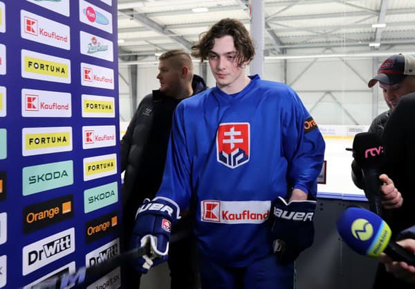 Na snímke slovenský hokejista Dalibor Dvorský.