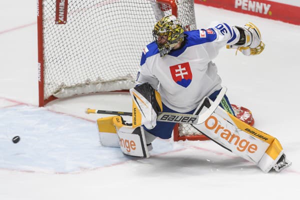 Brankár Matej Tomek (Slovensko) inkasuje gól počas prípravného hokejového zápasu Nemecko - Slovensko.