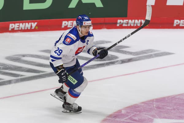 Na snímke Michal Ivan (Slovensko) počas prípravného hokejového zápasu Nemecko - Slovensko.