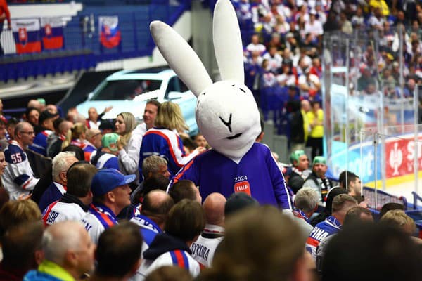 V ostravskej aréne vládla počas zápasu Slovensko - Nemecko fantastická atmosféra.