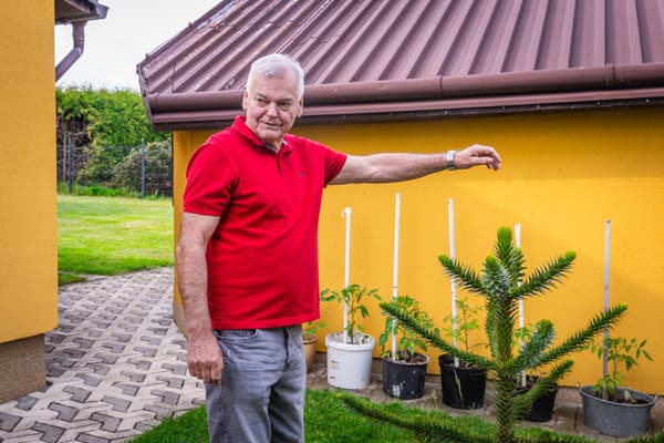 Kouč Vůjtek má na svojej záhrade na dome aj takéto stromčeky