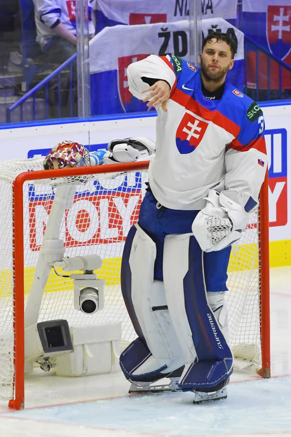 Na snímke brankár Samuel Hlavaj (Slovensko) v zápase B-skupiny Francúzsko - Slovensko.