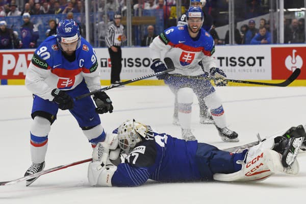 Na snímke vľavo kapitán Tomáš Tatar (Slovensko) a brankár Sebastien Ylonen (Francúzsko).