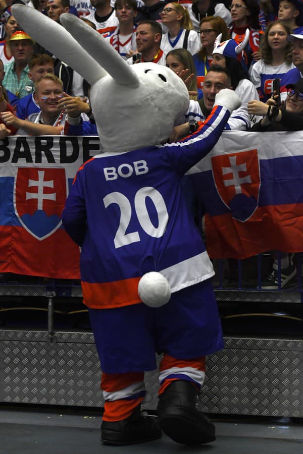 Na snímke maskot Bob v zápase B-skupiny Francúzsko - Slovensko.