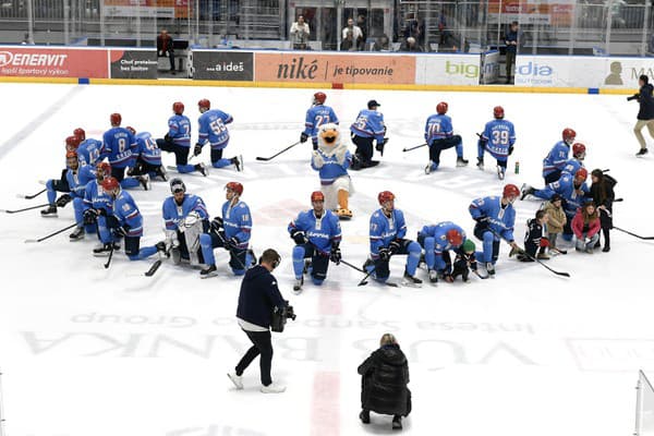 Slovan Bratislava v uplynulom ročníku Tipos Extraligy skončil pred bránami semifinále.