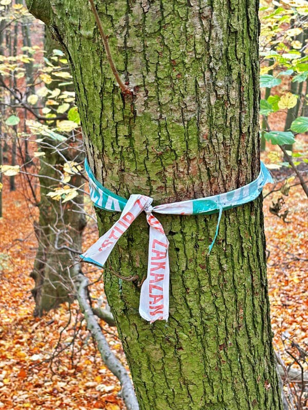 Policajná páska okolo stromu symbolizuje miesto tragédie.