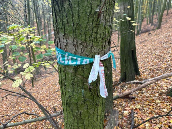 Policajná páska okolo stromu symbolizuje miesto tragédie.