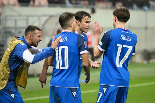 Na snímke radosť hráčov Slovenska po strelení gólu na 1:0.