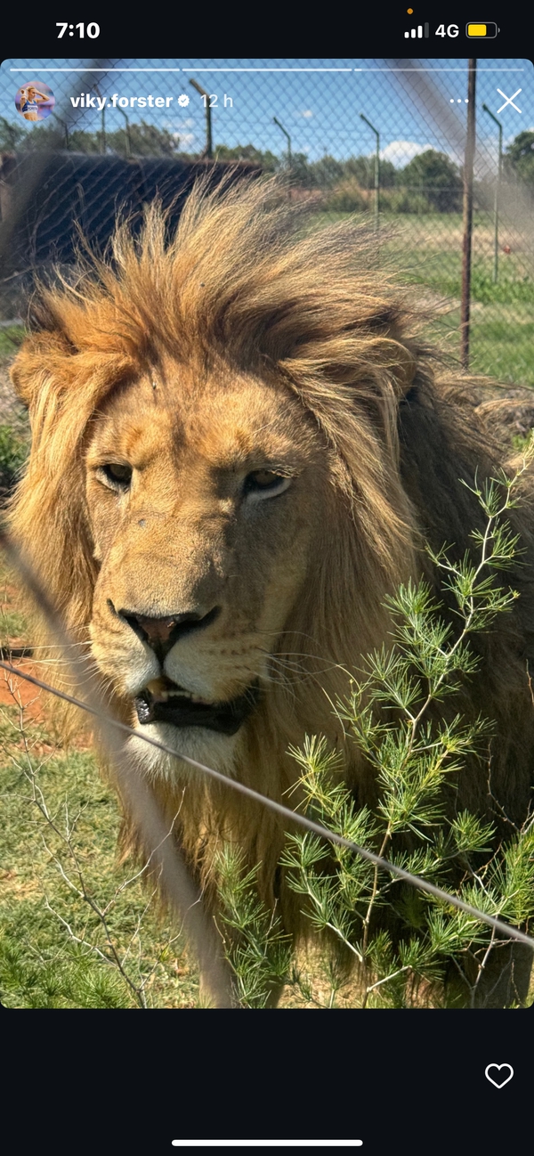 Afrika v znamení slovenského šarmu: Naše atlétky očarili Potchefstroom.