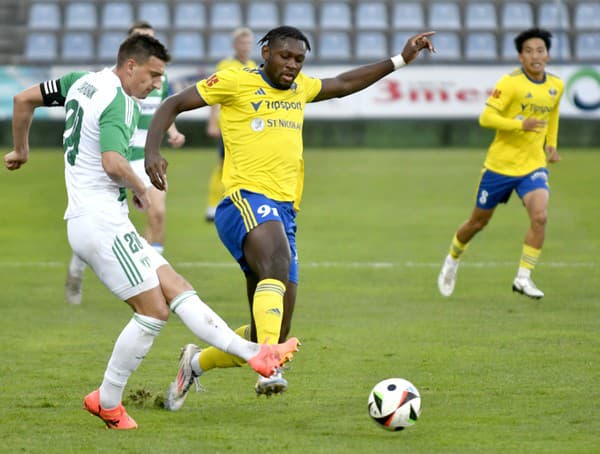 Mesto Michalovce plánuje predať futbalový klub MFK Zemplín Michalovce.