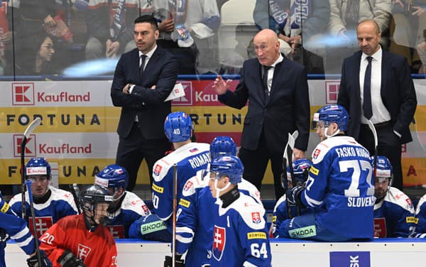 Tréner slovenskej hokejovej reprezentácie Craig Ramsay. 