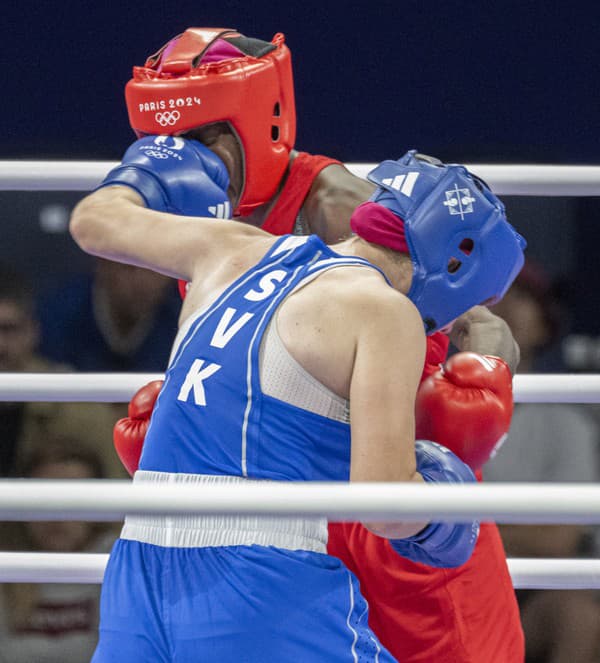 Minister navrhol ešte aj boxerku Jessicu Triebeľovú.