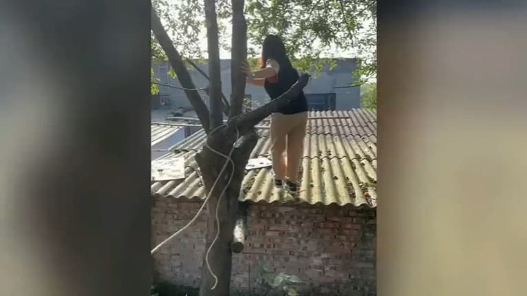 Ženu zlákalo zakázané ovocie, vyliezla na strechu: O chvíľu to trpko oľutovala!