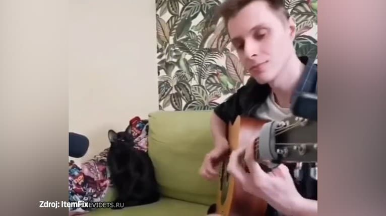 Hudobné duo, aké ste ešte nevideli: Muž sprevádza na gitare svoju spievajúcu mačku!