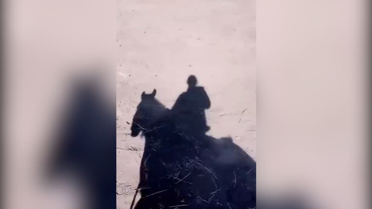 Žena na koni stretla v pustatine nečakaného hosťa, zobrala ho do sedla: Na ten pohľad len tak nezabudnete