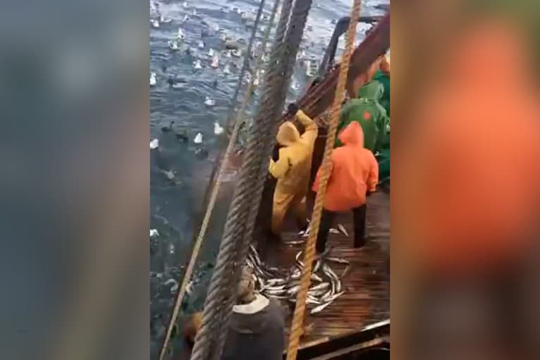 Rybári o takom úlovku ani nesnívali: Pozerajte, čo im vypadlo zo siete! Museli rýchlo konať