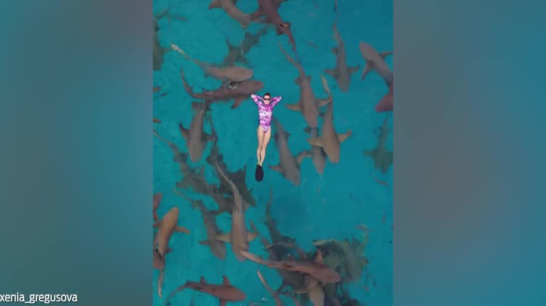 Víťazka Farmy šokovala fanúšikov videom z dovolenky: Uprostred mora so žralokmi! Uf, toto vás vystraší na smrť