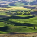 Americký región Palouse patrí medzi najfotogenickejšie oblasti na svete.