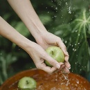 Jablká, ktoré dozreli prirodzene na slnku, obsahujú viac vitamínu C
