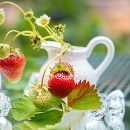 Strawberry fruit with cream and sugar.