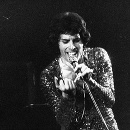 Freddie Mercury

