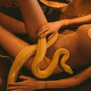 Had sa spája so sexualitou aj zákernosťou.