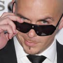 Pitbull