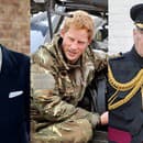 Princ Philip, princ Harry a princ Andrew