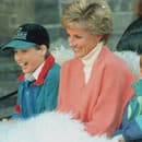 Princezná Diana so svojimi synmi.
