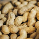 Alergia na arašidy je pomerne častá.