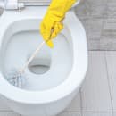 Kefu na čistenie toalety kupujte pravidelne, aby sa nepremnožili na nej baktérie. 