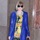 Anna Wintour 