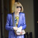 Anna Wintour 