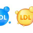 Cholesterol rozdeľujeme na HDL (dobrý) a LDL (zlý). U oboch si treba sledovať hladinu. 
