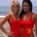 Donna D'Errico s Traci Bingham