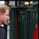 Princ Harry je v súčasnosti na očiach viac ako jeho celá kráľovská rodina. 