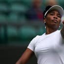 Venus Williams