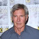 Harrison Ford, dlhoročná ikona Hollywoodu.