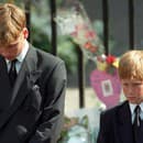 Princ William a Harry na Dianinom pohrebe