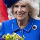 Kráľovná Camilla miluje perly a diamanty, ktoré nosí aj na počesť kráľovnej Alžbety. 